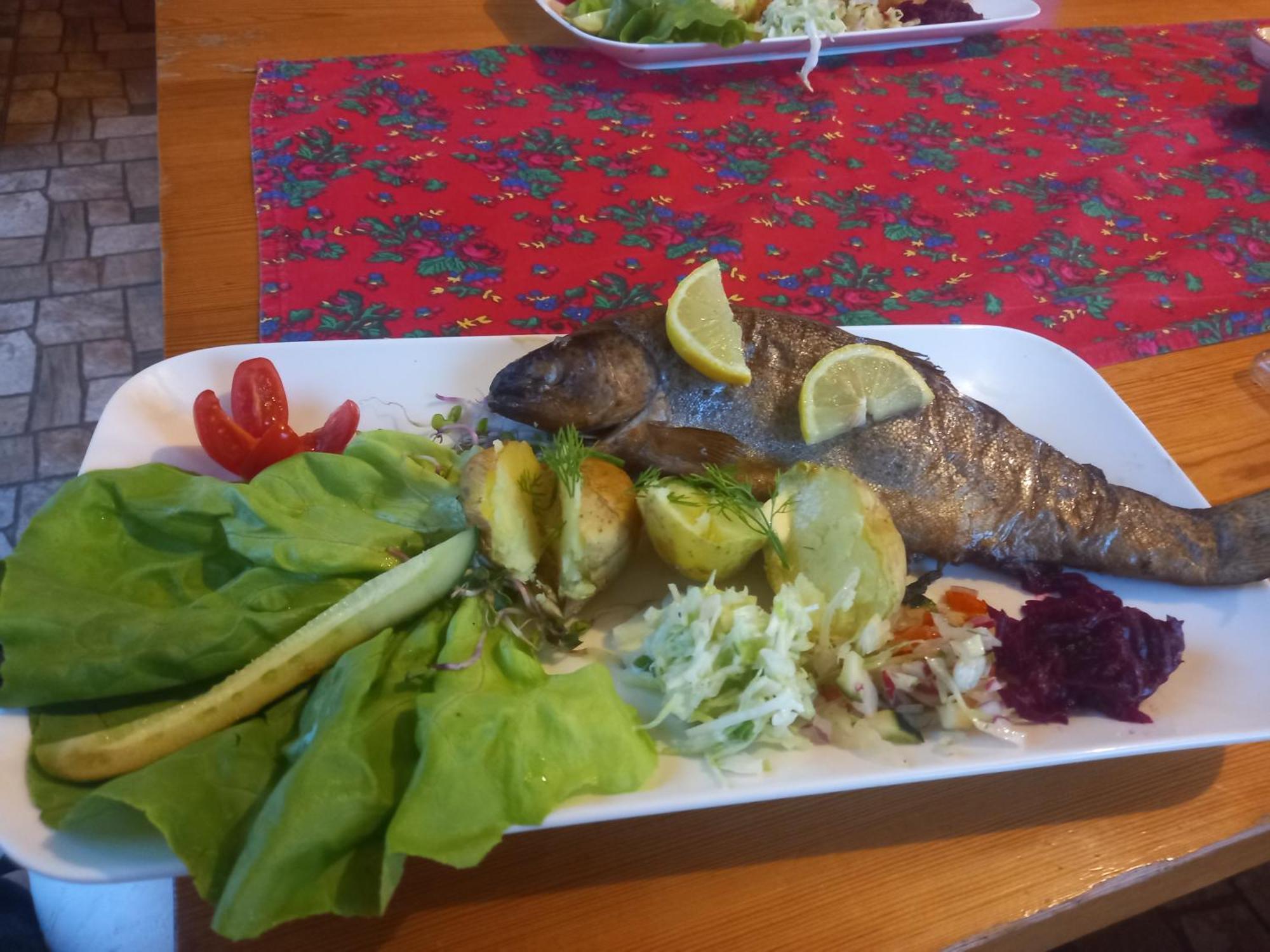 Gazdowka Na Mosornym Groniu Villa Zawoja Luaran gambar